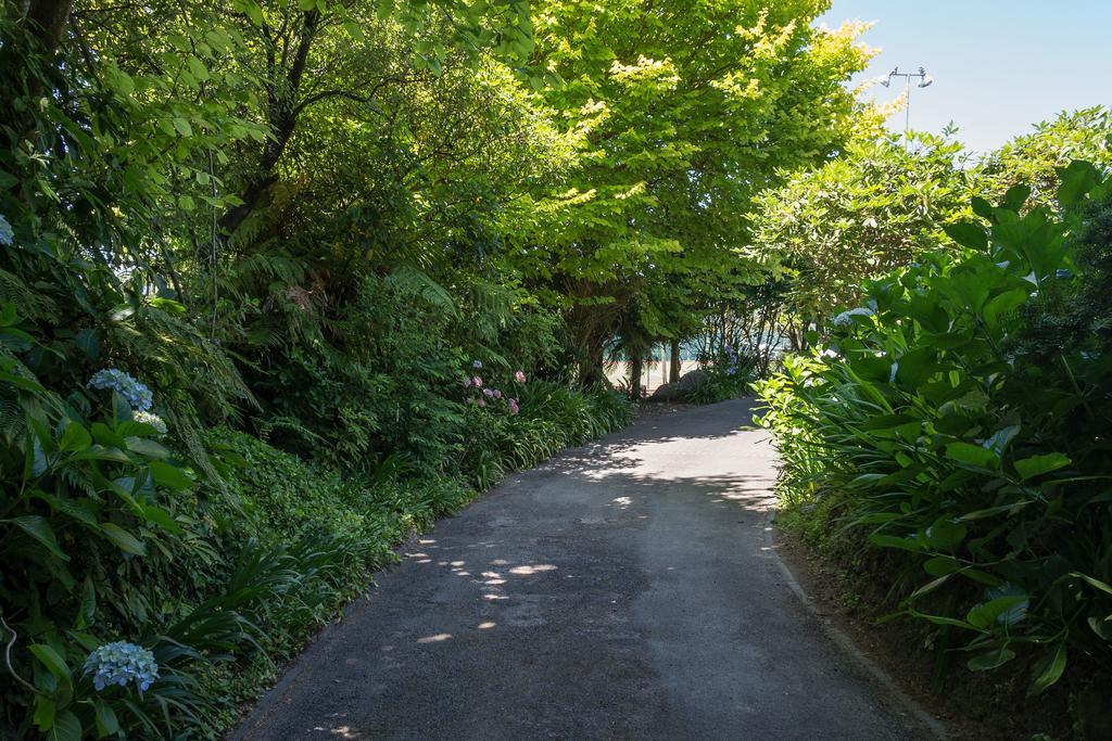 The Flying Trout Boutique Lodge Taupo Eksteriør bilde